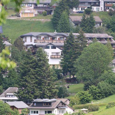 Todnauerberg Hotel Im Schwarzwald Todtnauberg Eksteriør bilde