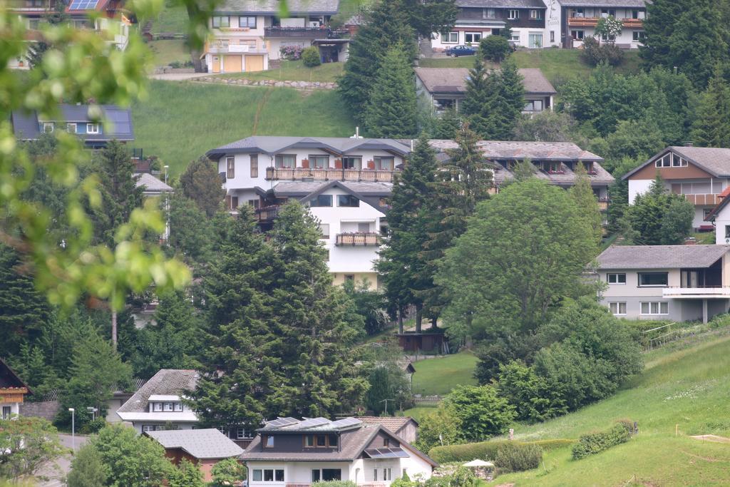 Todnauerberg Hotel Im Schwarzwald Todtnauberg Eksteriør bilde