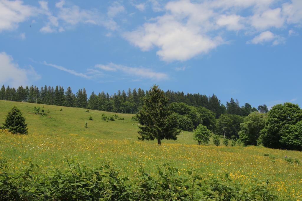 Todnauerberg Hotel Im Schwarzwald Todtnauberg Eksteriør bilde