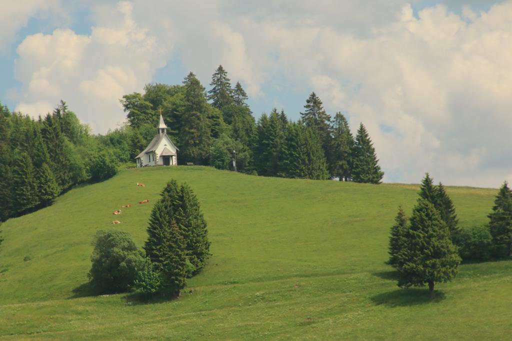 Todnauerberg Hotel Im Schwarzwald Todtnauberg Eksteriør bilde