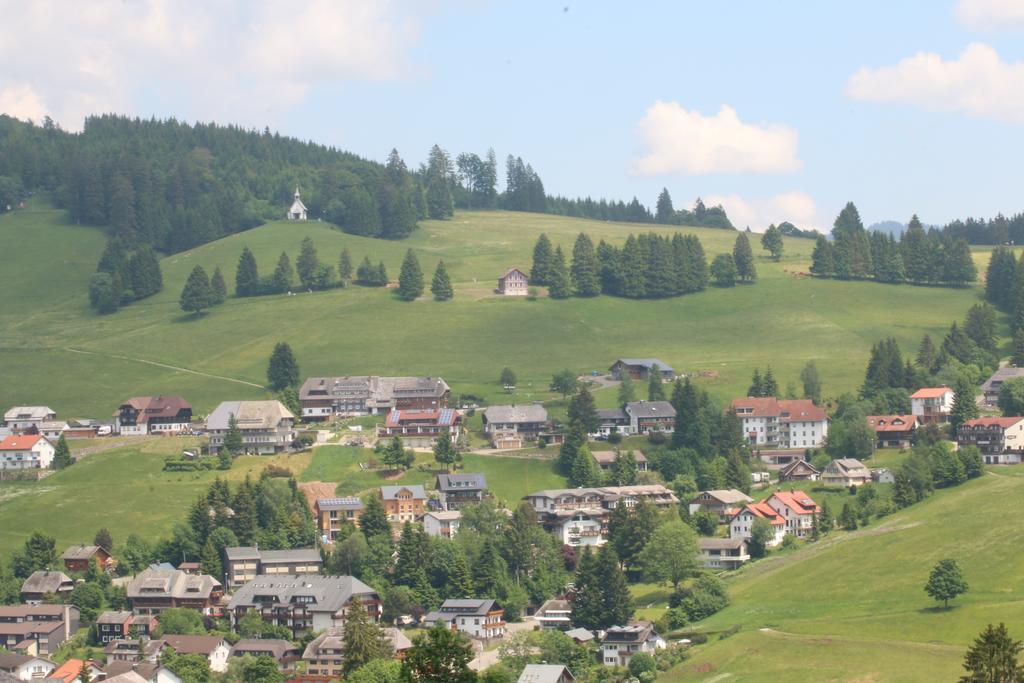 Todnauerberg Hotel Im Schwarzwald Todtnauberg Eksteriør bilde