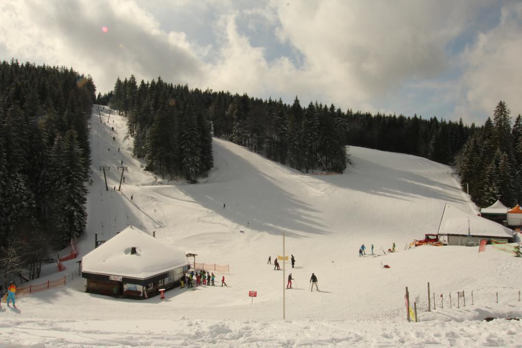 Todnauerberg Hotel Im Schwarzwald Todtnauberg Eksteriør bilde