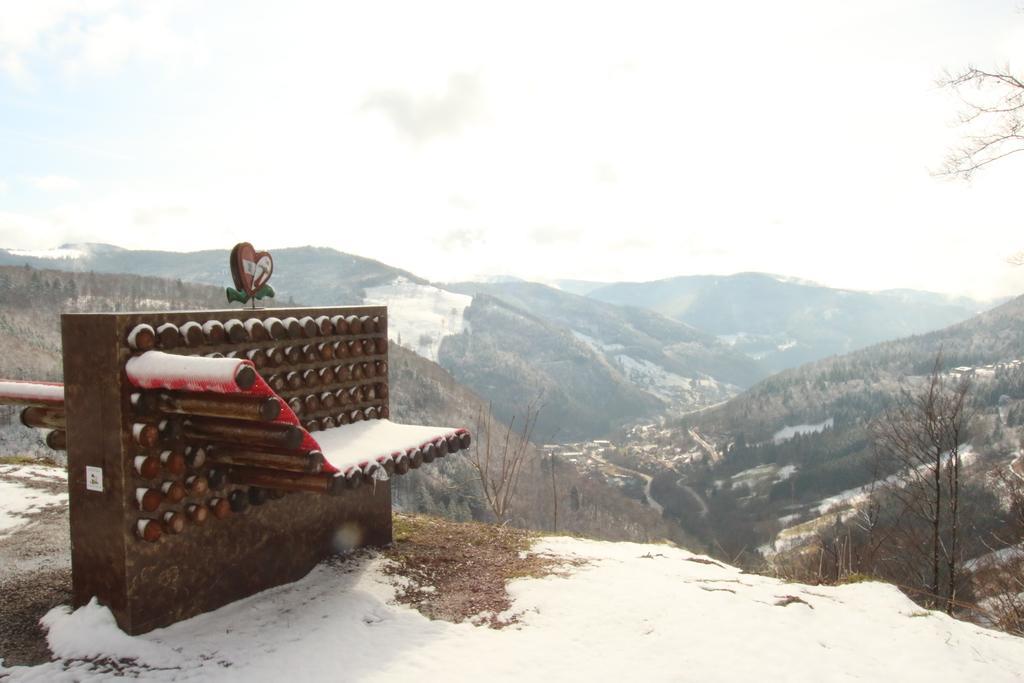 Todnauerberg Hotel Im Schwarzwald Todtnauberg Eksteriør bilde