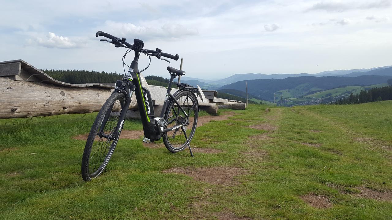 Todnauerberg Hotel Im Schwarzwald Todtnauberg Eksteriør bilde